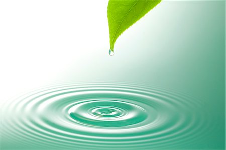 Green leaf and water ripple Foto de stock - Sin royalties Premium, Código: 622-06369906