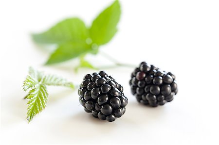 preto - Blackberry fruits Foto de stock - Royalty Free Premium, Número: 622-06369923