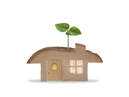 Model house and sprout Stock Photo - Premium Royalty-Free, Code: 622-06369984