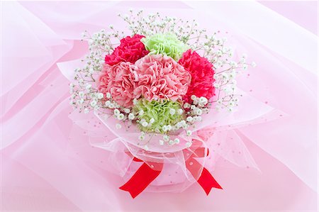 red ribbon and plant - Bouquet of carnations Foto de stock - Sin royalties Premium, Código: 622-06370059