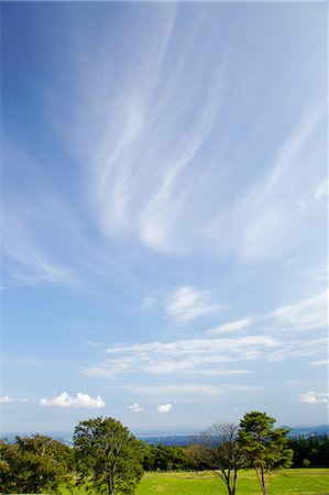 Meadow, nuages et ciel bleu Photographie de stock - Premium Libres de Droits, Code: 622-06370113