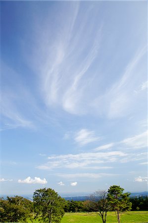 Blue sky, clouds and meadow Foto de stock - Sin royalties Premium, Código: 622-06370113