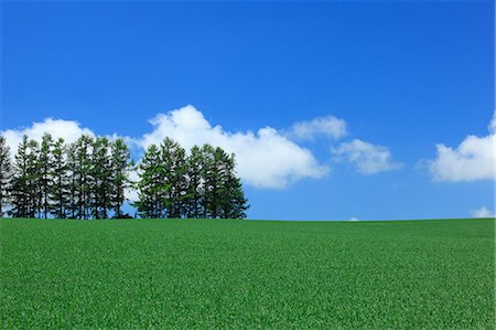 sky cloud tree field not storm not africa not people not building not city - Mild Seven Hill in Hokkaido Stock Photo - Premium Royalty-Free, Code: 622-06370450