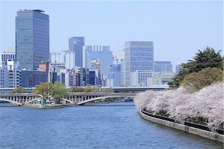 park in small town - Cherry blossoms and the Tenjin bridge at Okawa river, Osaka Stock Photo - Premium Royalty-Free, Code: 622-06397935