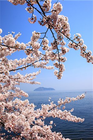 simsearch:622-06398335,k - Takashima, Shiga Prefecture Stock Photo - Premium Royalty-Free, Code: 622-06398039