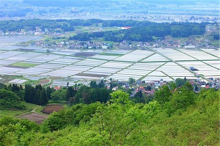 View of rice fields and the countryside in Iiyama, Nagano Prefecture, Japan Stock Photo - Premium Royalty-Free, Code: 622-06398079