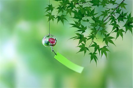 simsearch:622-06549292,k - Wind chime and green maple leaves Foto de stock - Sin royalties Premium, Código: 622-06398357