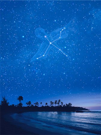 Constellation cygne à Hawaï dans la nuit Photographie de stock - Premium Libres de Droits, Code: 622-06398385