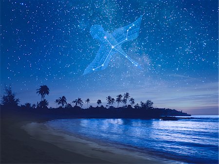 stern - Cygnus constellation in Hawaii at night Foto de stock - Sin royalties Premium, Código: 622-06398386