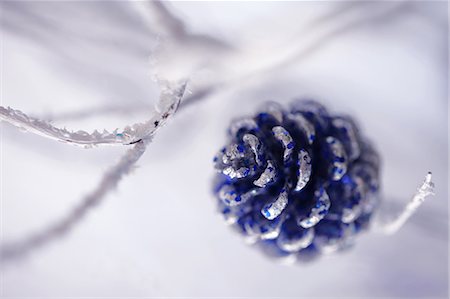 pine cone closeup - Close up of a blue Christmas Decoration Stock Photo - Premium Royalty-Free, Code: 622-06398560