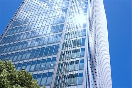 exterior office buildings - Green leaves and skyscraper with reflections in the background Stock Photo - Premium Royalty-Free, Code: 622-06439261
