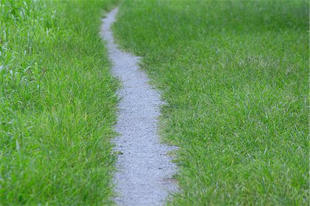 road side grass - Path through rice fields Stock Photo - Premium Royalty-Free, Code: 622-06439312