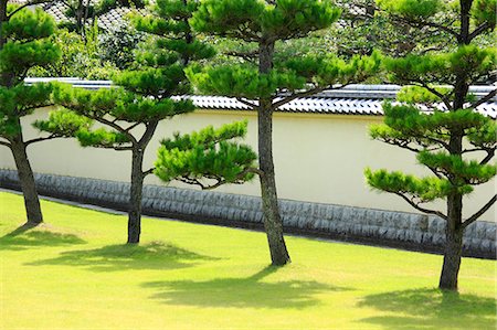 Garden with pine trees and Japanese traditional roofed stone wall, Nara Prefecture Stock Photo - Premium Royalty-Free, Code: 622-06439347