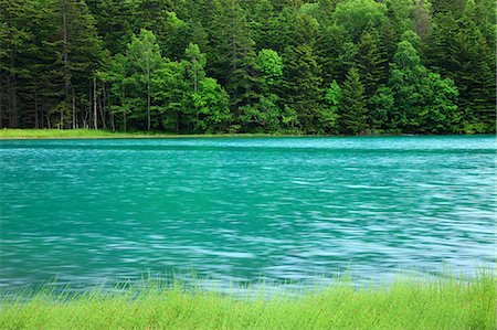 surface - Lake Onneto and trees in the background in Ashoro, Hokkaido Stock Photo - Premium Royalty-Free, Code: 622-06439369