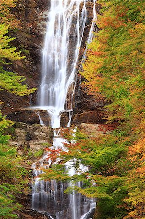 simsearch:622-06439442,k - Feuilles d'automne à Karasawa Waterfall, préfecture de Nagano Photographie de stock - Premium Libres de Droits, Code: 622-06439435