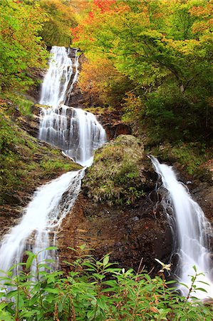 simsearch:622-06439442,k - Feuilles d'automne à Karasawa Waterfall, préfecture de Nagano Photographie de stock - Premium Libres de Droits, Code: 622-06439436