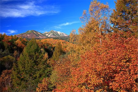 simsearch:622-06439442,k - Feuilles d'automne et Mont Norikura à Matsumoto, préfecture de Nagano Photographie de stock - Premium Libres de Droits, Code: 622-06439438