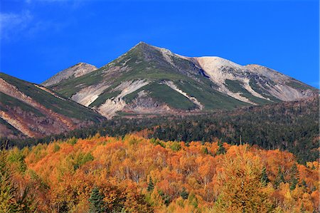 simsearch:622-06439442,k - Feuilles d'automne et Mont Norikura à Matsumoto, préfecture de Nagano Photographie de stock - Premium Libres de Droits, Code: 622-06439439