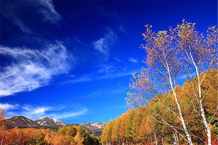 simsearch:622-06439442,k - Autumn leaves, Mont Norikura et ciel bleu à Matsumoto, préfecture de Nagano Photographie de stock - Premium Libres de Droits, Code: 622-06439441