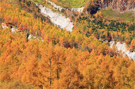 simsearch:622-06439442,k - Feuilles d'automne et les arbres au Mont Yakedake à Matsumoto, préfecture de Nagano Photographie de stock - Premium Libres de Droits, Code: 622-06439443