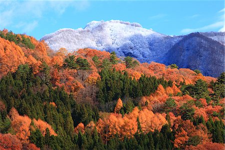 Trees, autumn leaves and mountains covered in snow in Hakuba, Nagano Prefecture Stock Photo - Premium Royalty-Free, Code: 622-06439464