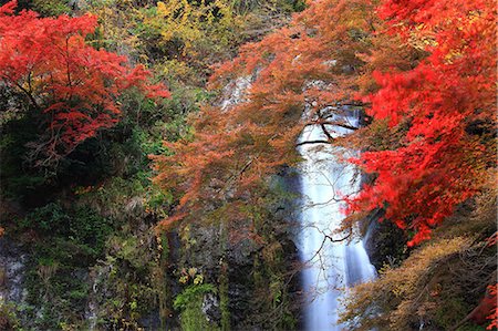 Autumn leaves and Mino waterfall in Mino, Osaka Foto de stock - Sin royalties Premium, Código: 622-06439468