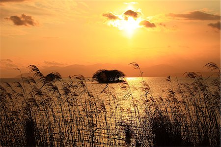 Silver grass and Lake Biwa at sunset, Shiga Prefecture Stock Photo - Premium Royalty-Free, Code: 622-06439483