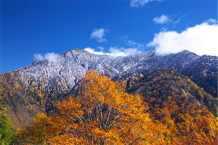 simsearch:622-06439442,k - Arbres, de montagnes et de l'automne laisse au col de Abotoge à Matsumoto, préfecture de Nagano Photographie de stock - Premium Libres de Droits, Code: 622-06439596