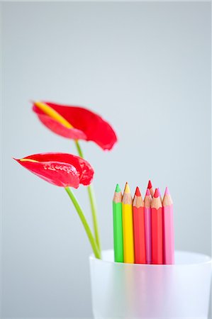 Flamingo Lily flowers and colored pencils in a cup Stock Photo - Premium Royalty-Free, Code: 622-06439665