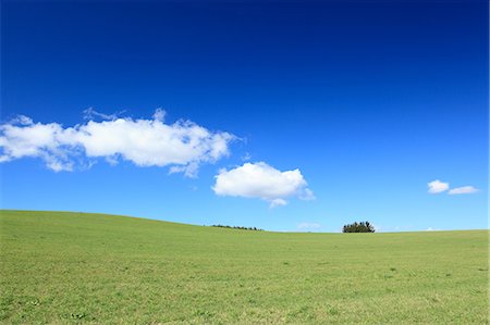 forest with blue sky - Grassland and blue sky with clouds, Hokkaido Stock Photo - Premium Royalty-Free, Code: 622-06439828