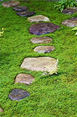 Stepping stones in traditional Japanese garden, Takayama, Gifu Prefecture Stock Photo - Premium Royalty-Free, Code: 622-06439873