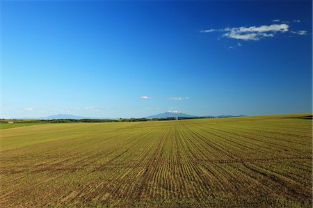 field sky mountain horizon - Field in Ozora, Hokkaido Stock Photo - Premium Royalty-Free, Code: 622-06486930