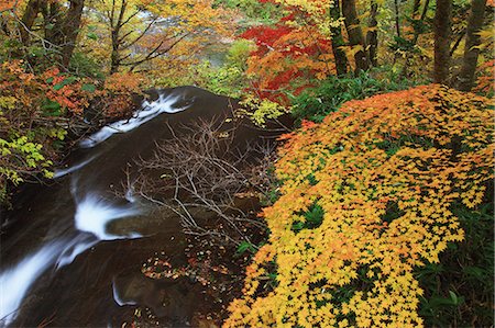 red valley - Rarumanai waterfall, Hokkaido Photographie de stock - Premium Libres de Droits, Code: 622-06486947