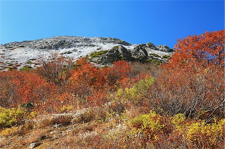 Azuma plateau, Fukushima Prefecture Foto de stock - Sin royalties Premium, Código: 622-06486969