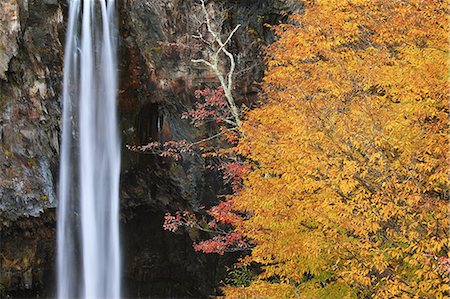 simsearch:622-06548978,k - Kegon Falls, Nikko Prefecture Fotografie stock - Premium Royalty-Free, Codice: 622-06486972