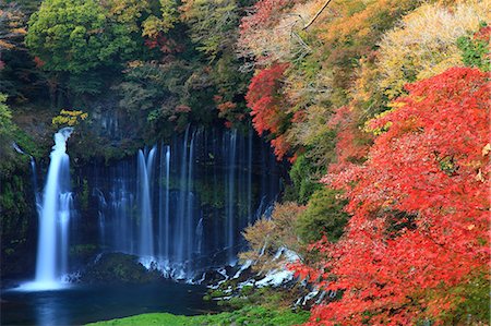 Waterfall in Fujinomiya, Shizuoka Prefecture Stockbilder - Premium RF Lizenzfrei, Bildnummer: 622-06487005