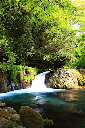 simsearch:622-06487495,k - Waterfall in Kikuchi valley, Kumamoto Prefecture Foto de stock - Royalty Free Premium, Número: 622-06487116