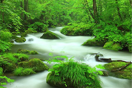 Oirase mountain stream, Aomori Prefecture Photographie de stock - Premium Libres de Droits, Code: 622-06487145