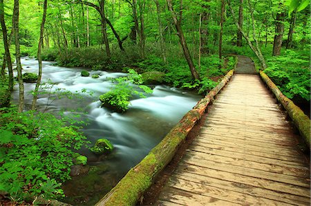 Oirase mountain stream, Aomori Prefecture Stock Photo - Premium Royalty-Free, Code: 622-06487141