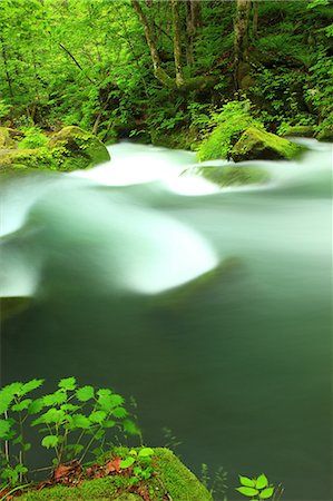 Oirase mountain stream, Aomori Prefecture Stock Photo - Premium Royalty-Free, Code: 622-06487143