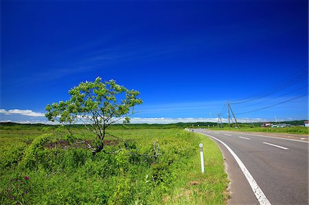 Road through the countryside, Hokkaido Stock Photo - Premium Royalty-Free, Code: 622-06487164