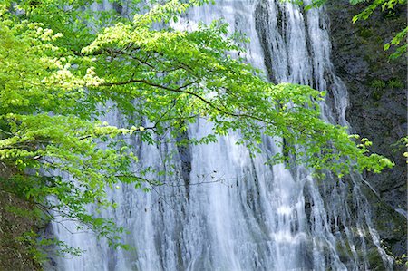 simsearch:622-06487073,k - Marugami waterfall, Saitama Photographie de stock - Premium Libres de Droits, Code: 622-06487477