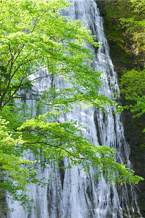 simsearch:622-07108375,k - Marugami waterfall, Saitama Fotografie stock - Premium Royalty-Free, Codice: 622-06487478