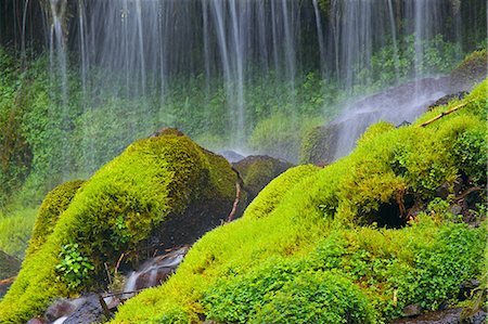 Doryu Waterfall, Yamanashi Prefecture Foto de stock - Sin royalties Premium, Código: 622-06487495