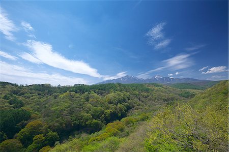 Yatsugatake Mountains, Yamanashi Prefecture Photographie de stock - Premium Libres de Droits, Code: 622-06487498