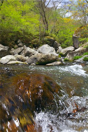 simsearch:622-06487495,k - Mountain stream at Kawamatagawa Valley, Yamanashi Prefecture Foto de stock - Royalty Free Premium, Número: 622-06487493