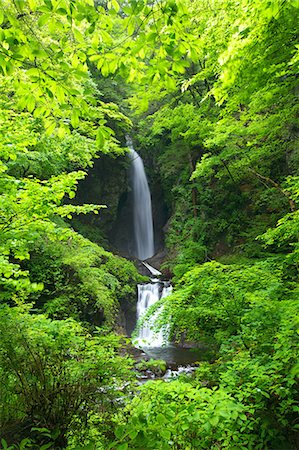 simsearch:622-06487495,k - Waterfall in Itajiki valley, Yamanashi Prefecture Foto de stock - Royalty Free Premium, Número: 622-06487524