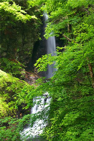 Waterfall in Itajiki valley, Yamanashi Prefecture Foto de stock - Sin royalties Premium, Código: 622-06487526