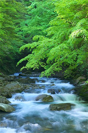 simsearch:622-06487495,k - Mountain stream in Nishizawa Valley, Yamanashi Prefecture Foto de stock - Royalty Free Premium, Número: 622-06487531