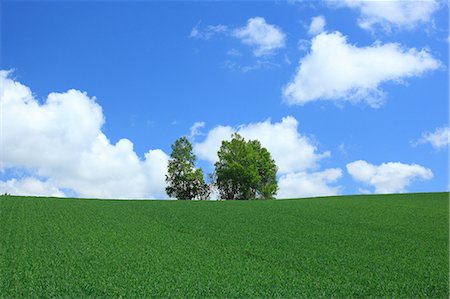 Grassland and blue sky with clouds, Hokkaido Stock Photo - Premium Royalty-Free, Code: 622-06487828